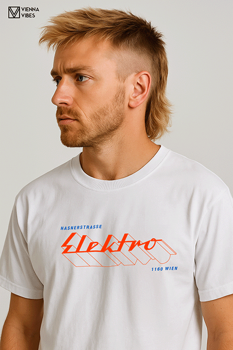 Elektro - Hasnerstrasse 1160 Wien